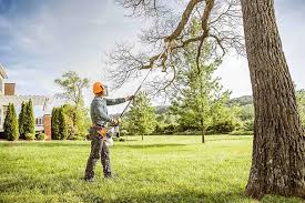 Trusted Crimora, VA  Tree Services Experts